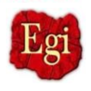 Egoli Insulation & Sheet Metal Works logo