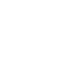 Fast Windows & More Inc logo