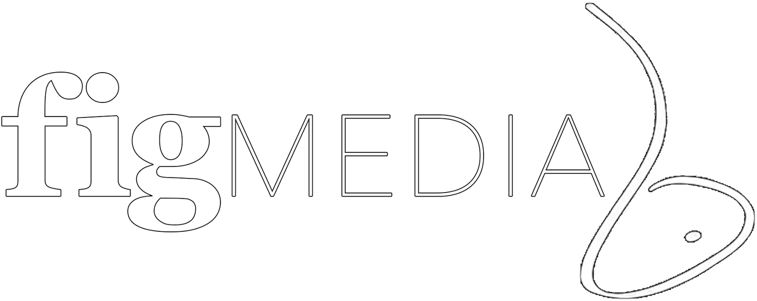 FigMedia: Digital Media and Mobile Discos logo