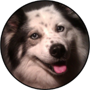 Friendly Creatures logo