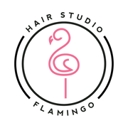 HAIR STUDIO FLAMINGO (Tanjong Pagar) logo