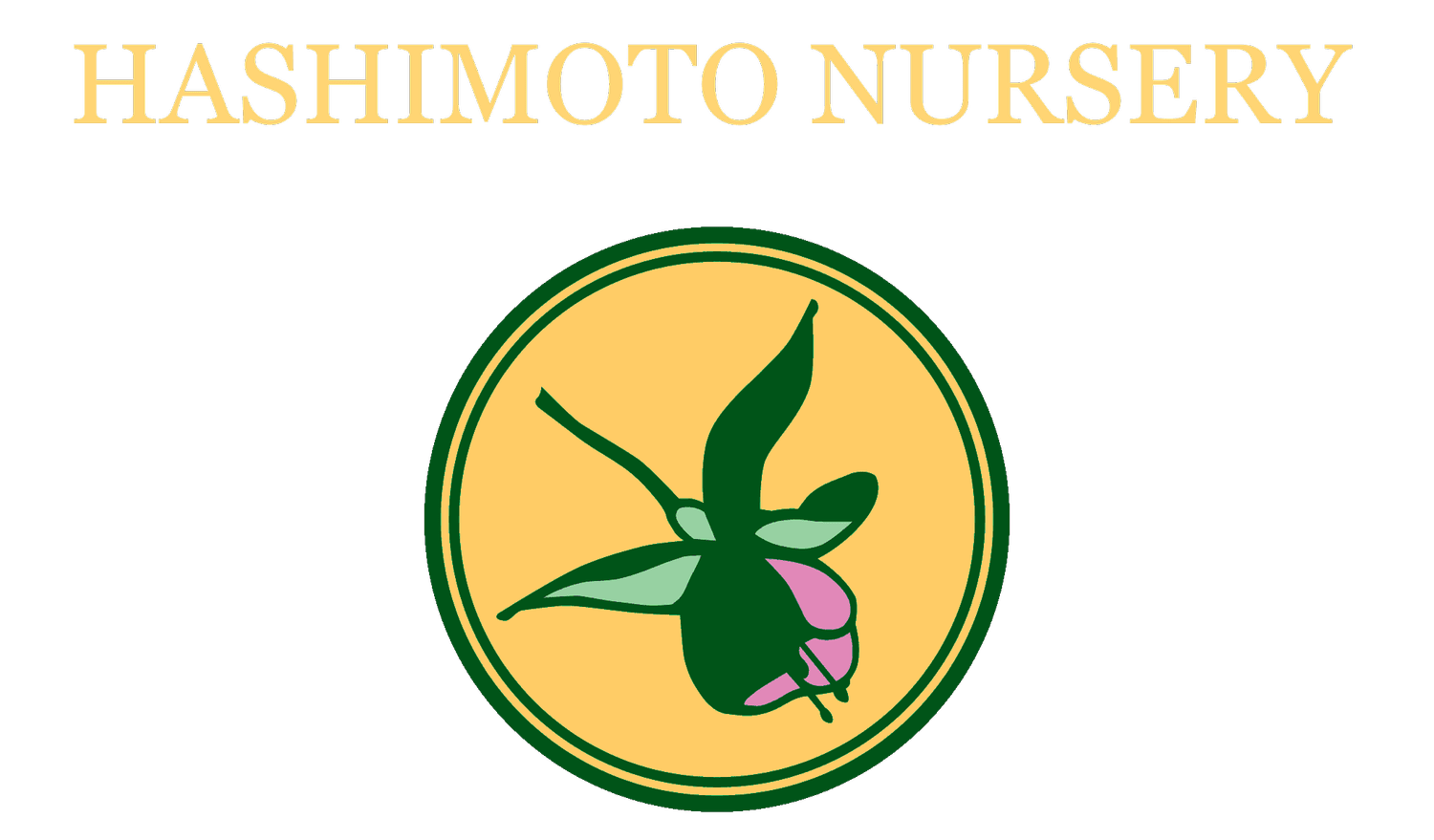 Hashimoto Nursery logo
