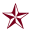 Houston Gym logo