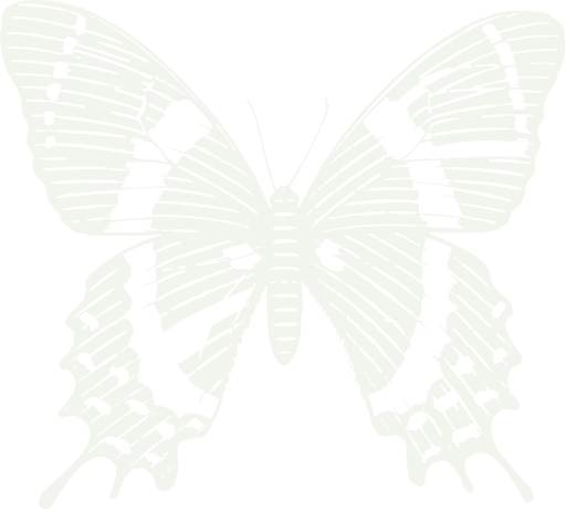 Houston Museum of Natural Science logo