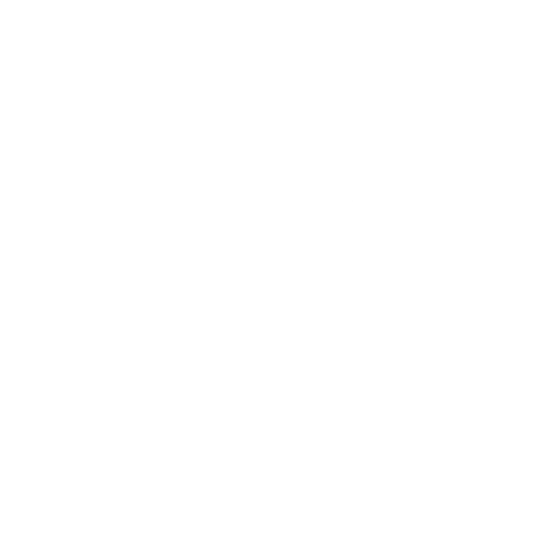 iFLYflat - The Points Whisperer logo