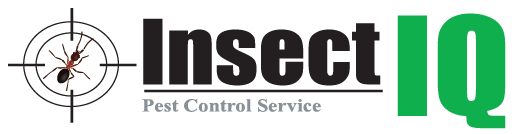 Insect IQ logo