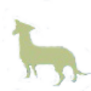 Johannesburg Specialist Veterinary Centre logo