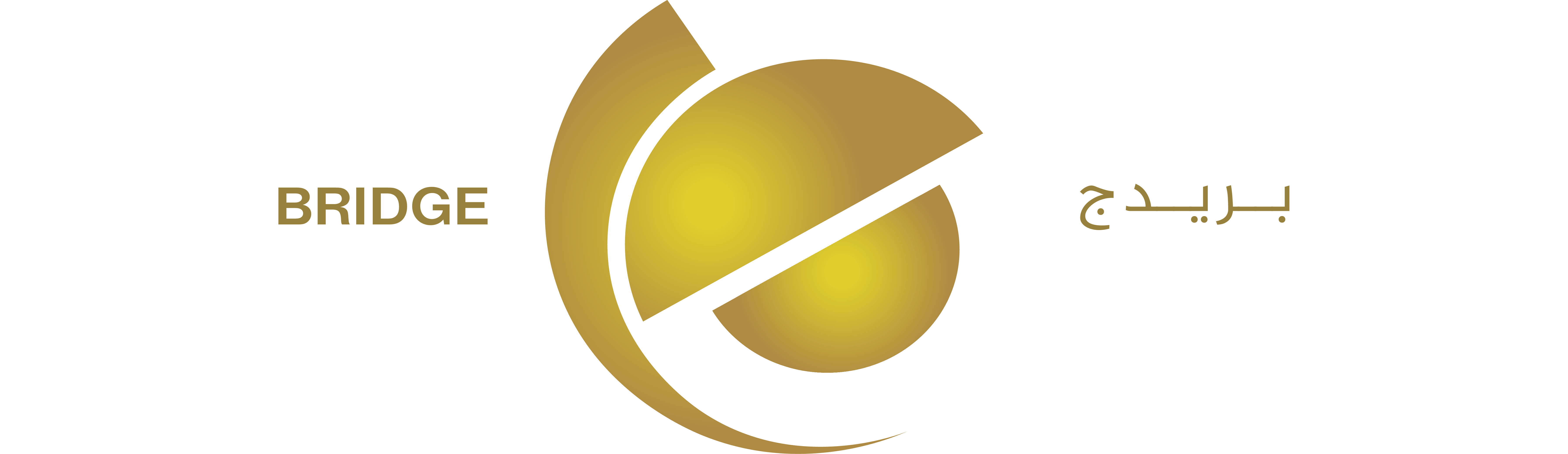 KNIGHTS BRIDGE GLOBAL SECURITY logo