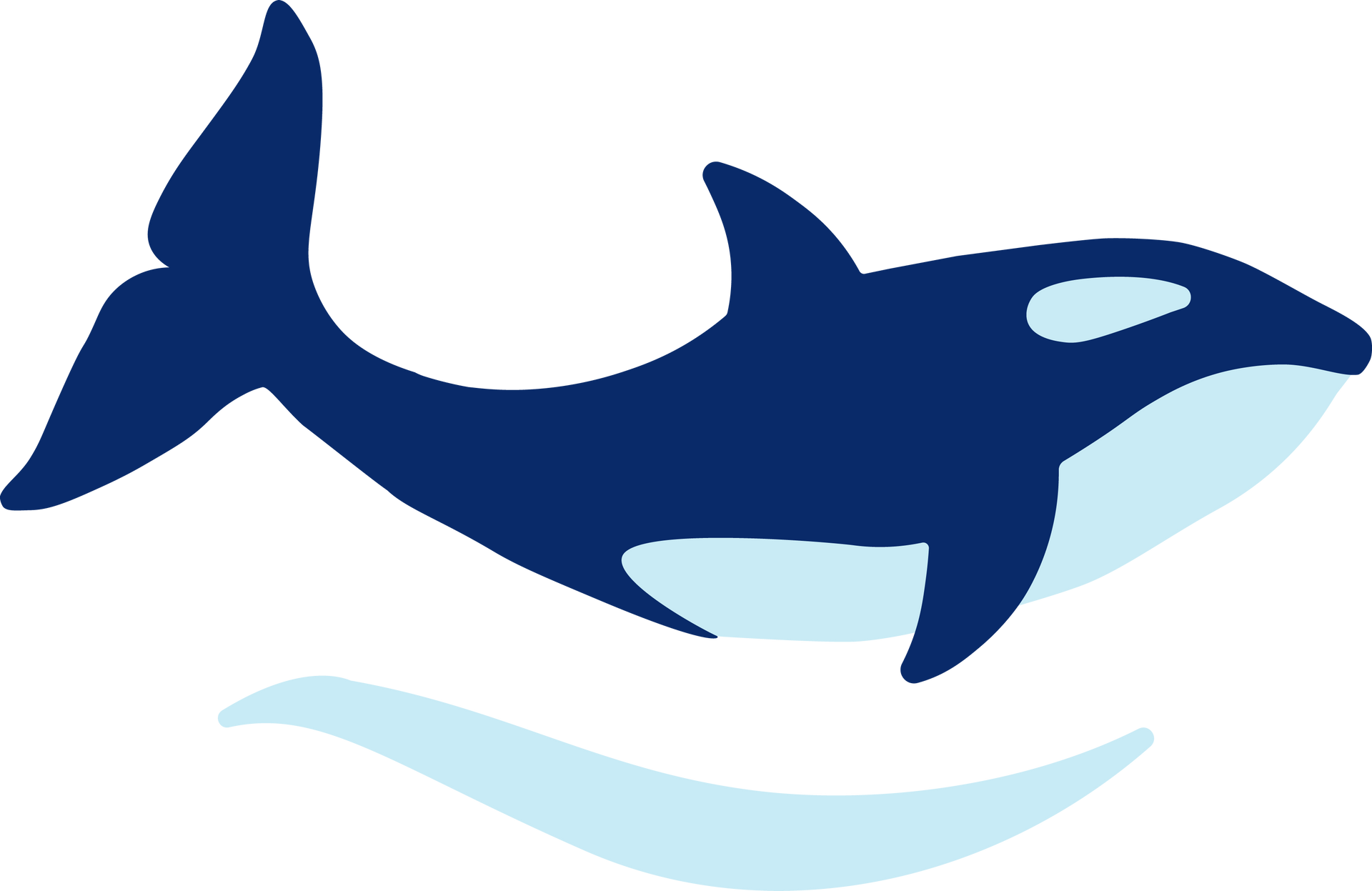 Lake Union Swim Academy logo