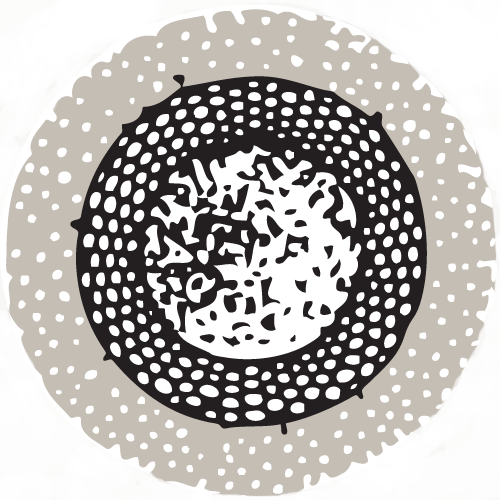 Landspace Design logo