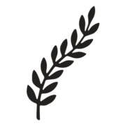 Laurels Property Partners logo