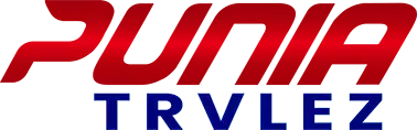 πππππ ππππππ πππππ - Luxury car rentals in Delhi logo