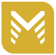 M S Chartered Accountants Ltd logo