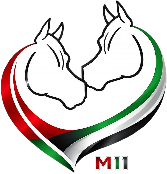 M11 Equestrian Club logo