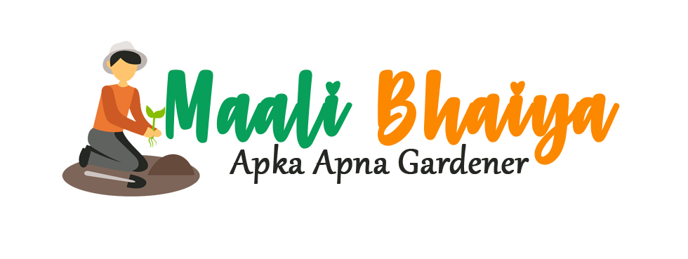Maali Bhaiya - Vertical garden designers & Landscape Services in Gurugram | Delhi | Noida logo