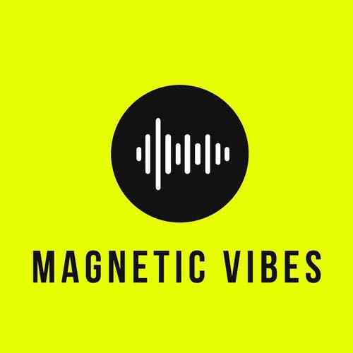 Magnetic Vibes Mobile Dj logo