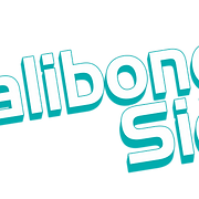 Malibongwe Signs logo