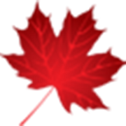 Matkowsky Immigration Law logo