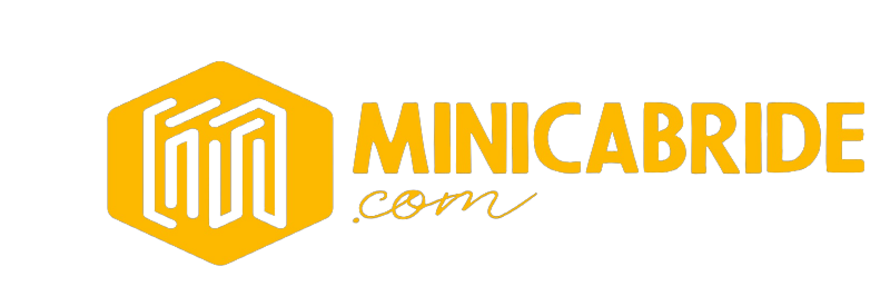 MiniCabRide-London Airport Taxi Transfers logo