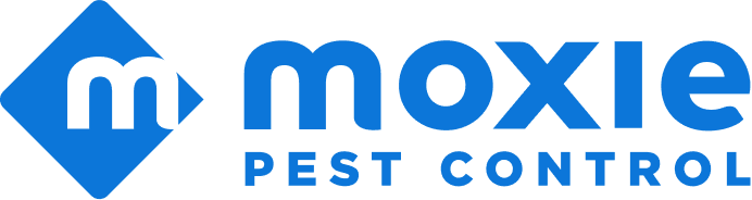 Moxie Pest Control - San Antonio logo