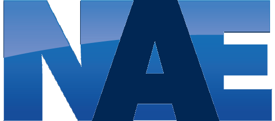 NAE Cleaning Solutions logo