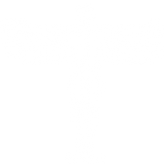 Natural Health Houston logo