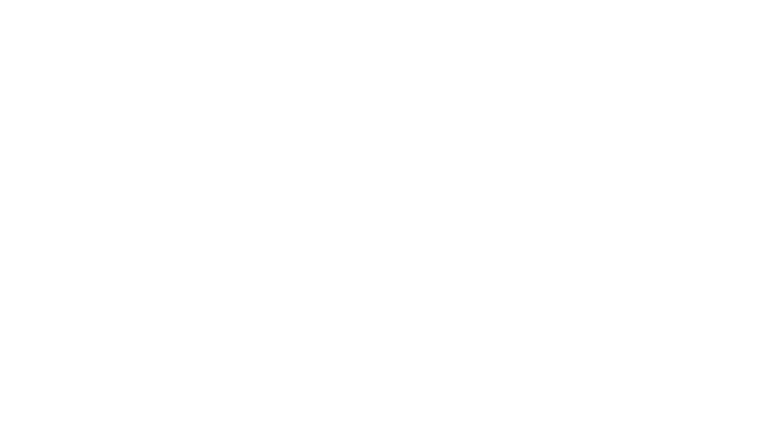 Neverland Balloons and Facepainting logo