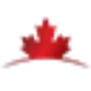 Nexus Migration - #1 Immigration Firm in Dubai, UAE 🏆 logo