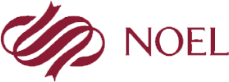 Noel Gifts International Ltd logo