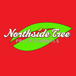 Northside Tree Professionals logo