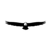 Olympic Tactical & Investigations LLC logo