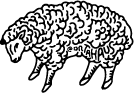 ORTAHAUS Barber Co. logo