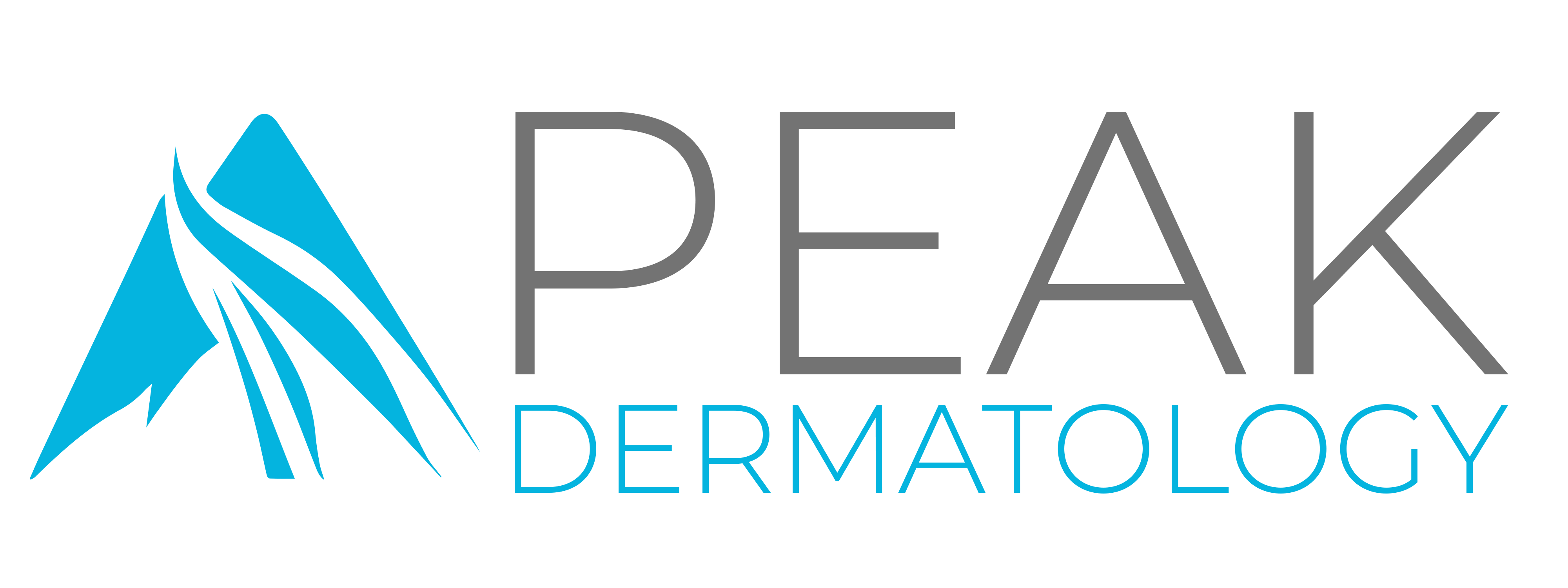 Peak Dermatology, Aesthetics, and Wellness: Dr. Christopher Rex MD logo