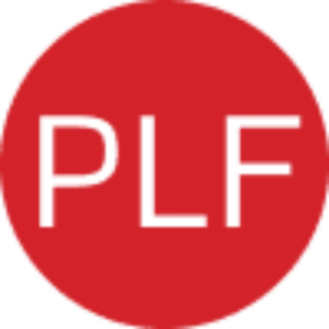 Pelaez Law Firm, Crash Angels logo