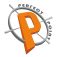 Perfect Point Land Surveying logo