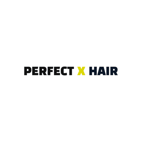 PERFECT X HAIR - Art Gallery logo