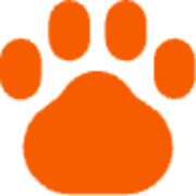 Petzania logo