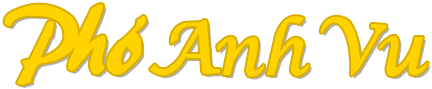 Pho Anh Vu Toronto logo