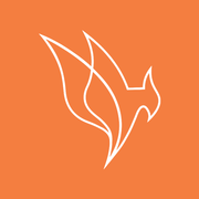Phoenix Bonds Johannesburg logo