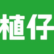 植仔 Plantjai logo