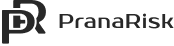 Prana Risk Insurance Brokers & Agents logo