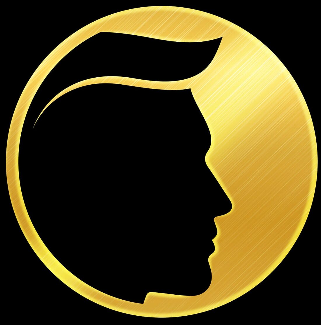 مركز بروفشنال لتركيب الشعر - أبوظبي شارع الكورنيشProfessional Hair Fixing Center logo