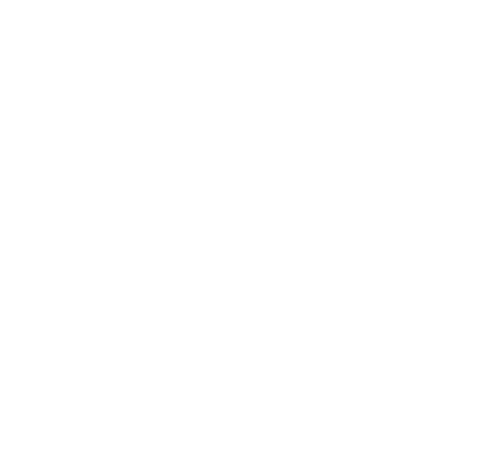 Professor Ali Ghoz logo