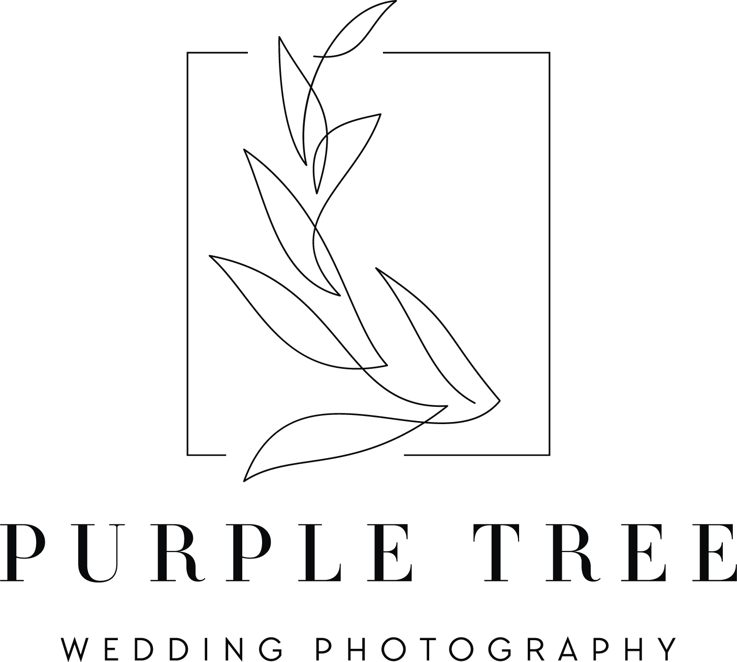 Purple Tree logo