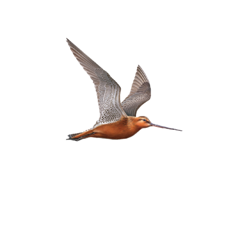 Quaich Bar Wanderlust logo