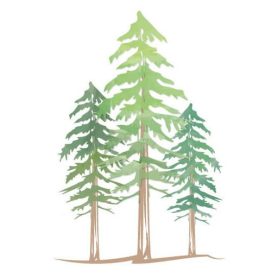 Redwood Family Dermatology logo