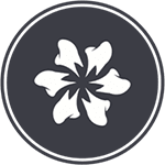 RiNo Dental logo