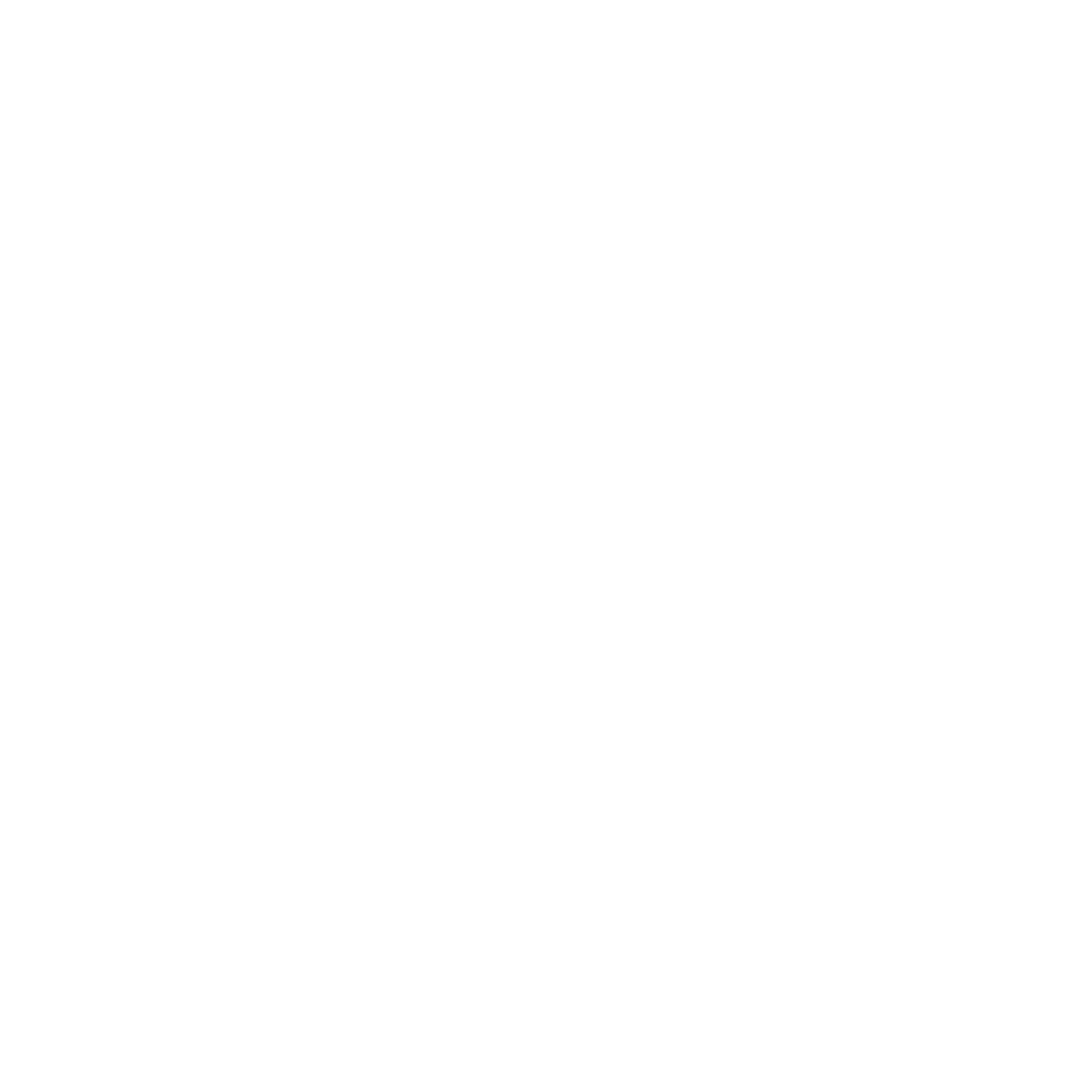 Run The Flex | Hip Hop Dance Studio in Toronto logo