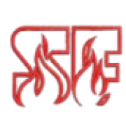 SAFETY FIRST SAFETY SYSTEMS L.L.C. logo