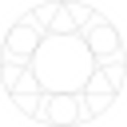 SALISH GEO logo